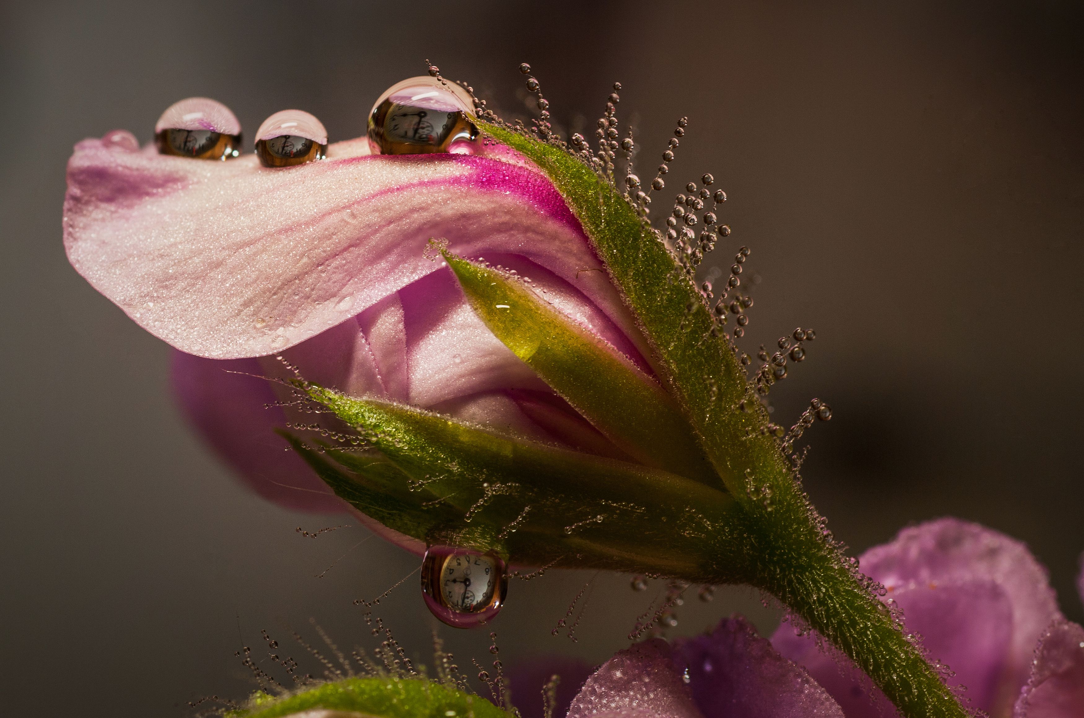 Photograph by Николай Захаров