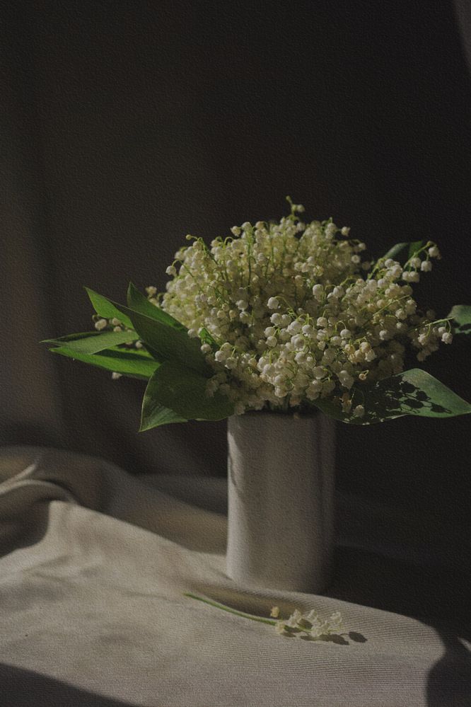 Фотография автора Наталья Осипчук