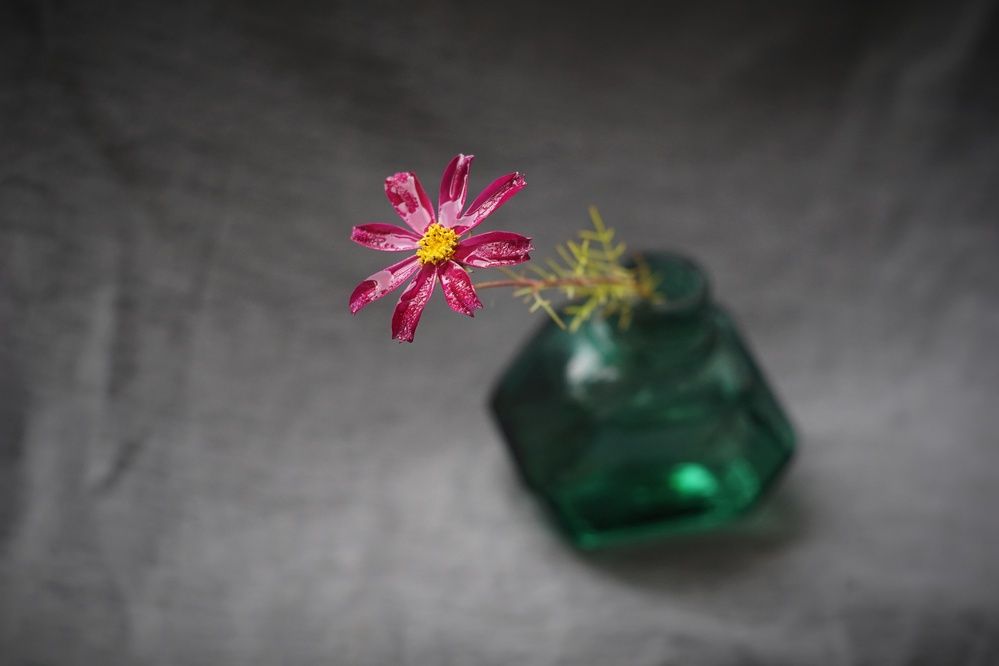 Photograph by Анастасия Скворцова