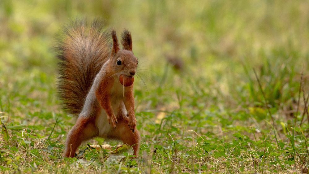 Photograph by Бравичева Анастасия