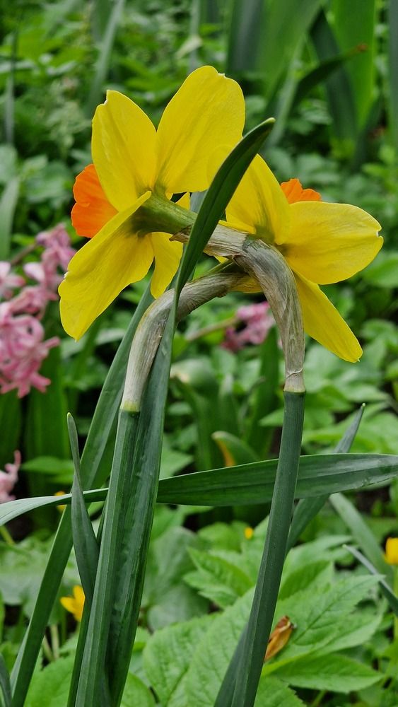 Фотография автора Ольга Быстрова