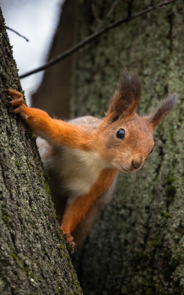 Photograph by Бравичева Анастасия