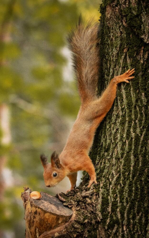 Photograph by Бравичева Анастасия