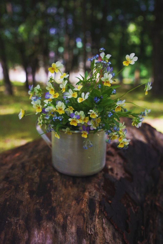 Photograph by Наталья Осипчук