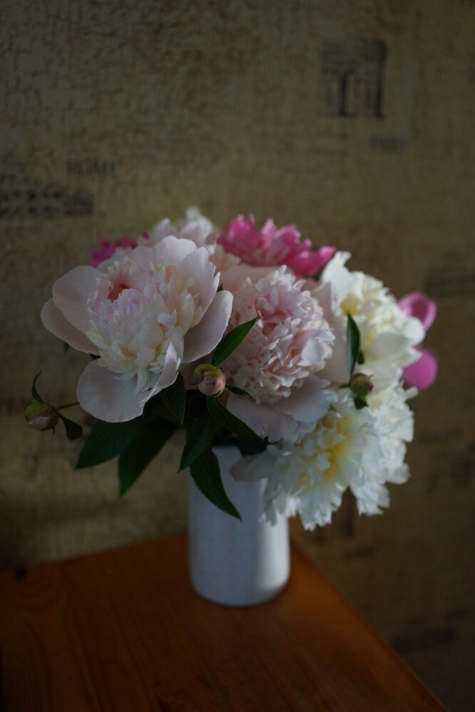 Фотография автора Наталья Осипчук