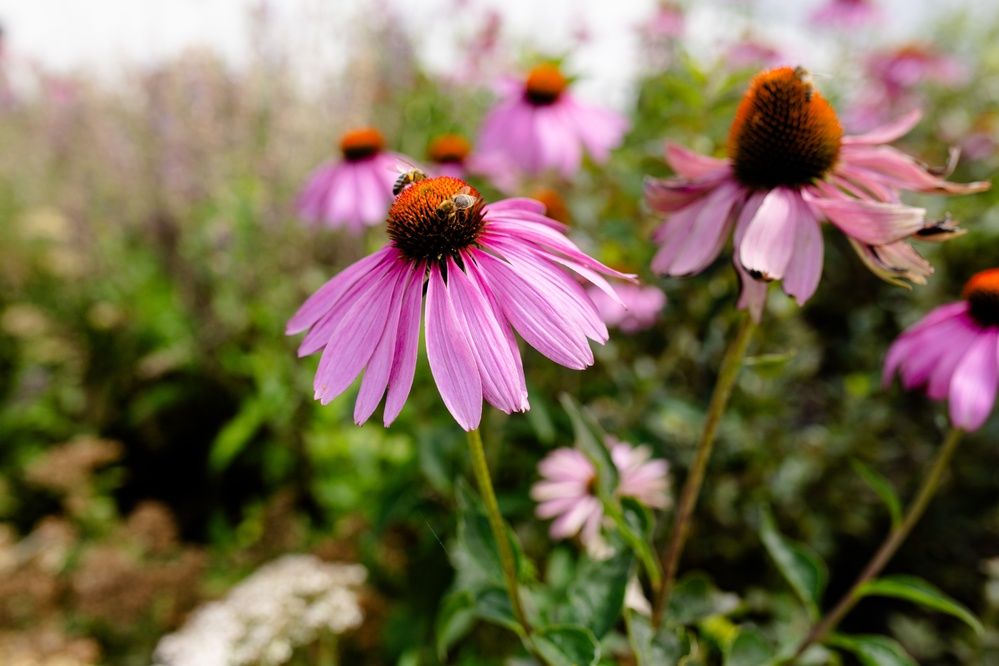 Photograph by дамир чекалин