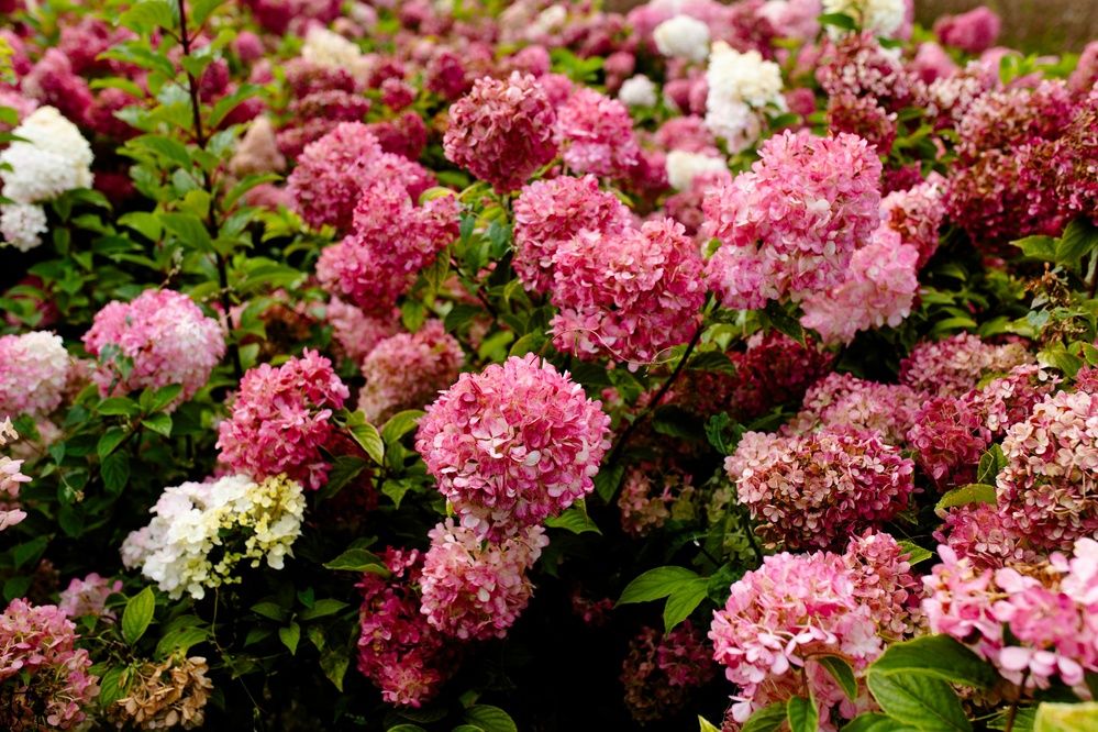 Photograph by дамир чекалин