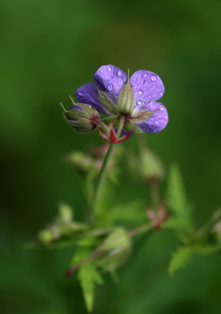Photograph by Юлия Фомина