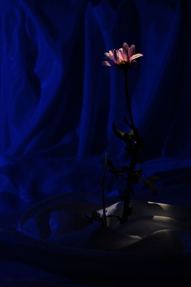 Фотография автора Екатерина Пачина