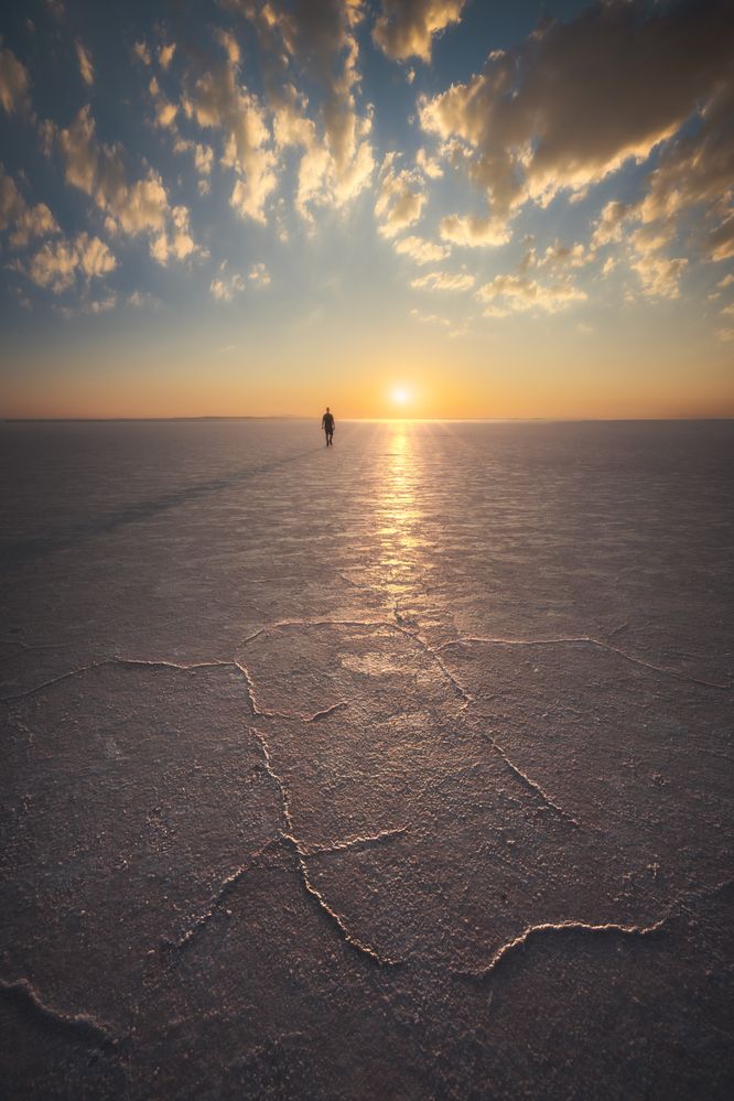 Photograph by Andrea Bartoli