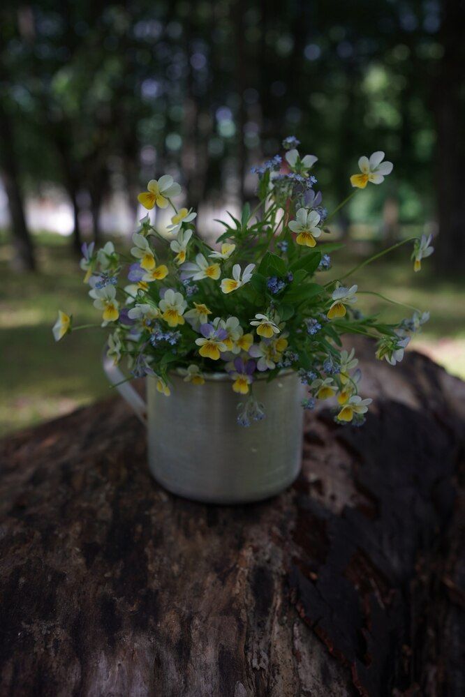 Фотография автора Наталья Осипчук