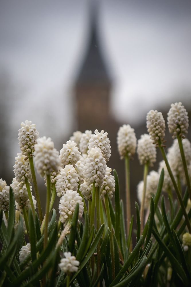 Photograph by Бравичева Анастасия