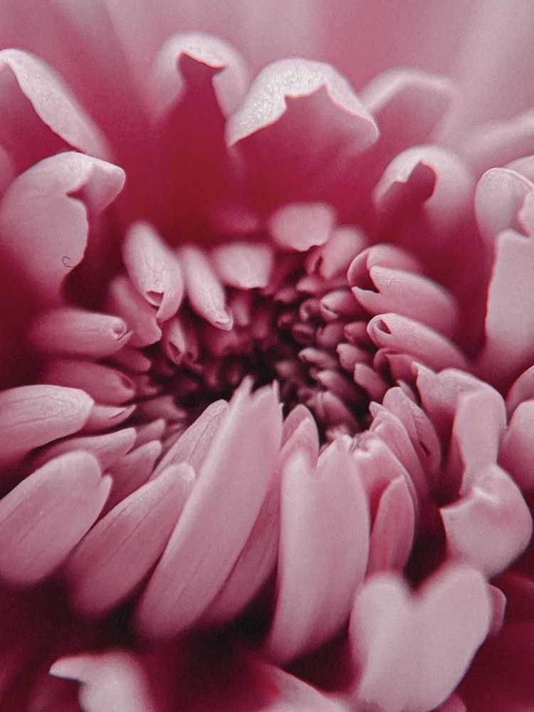 Photograph by Анна