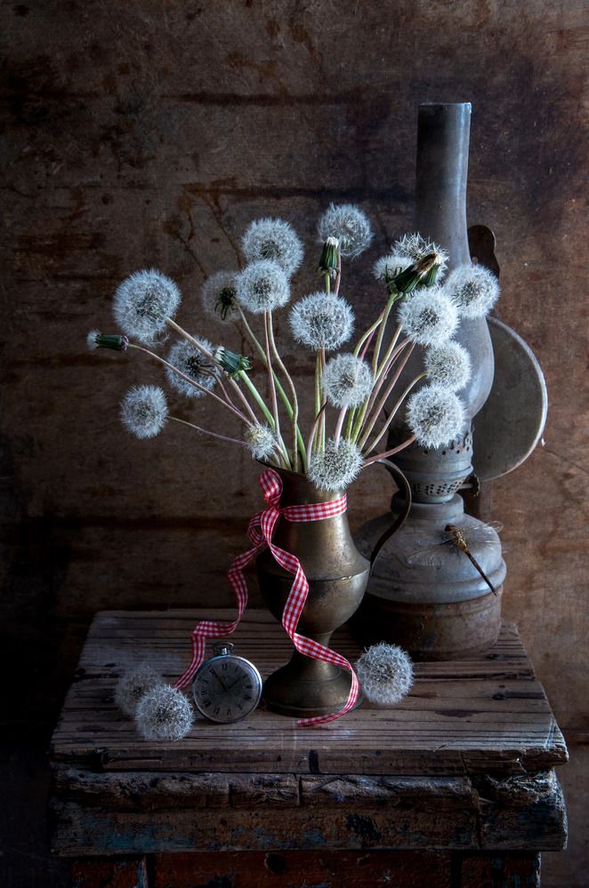 Время одуванчиков