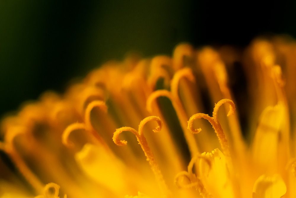 Photograph by Никита Иванов