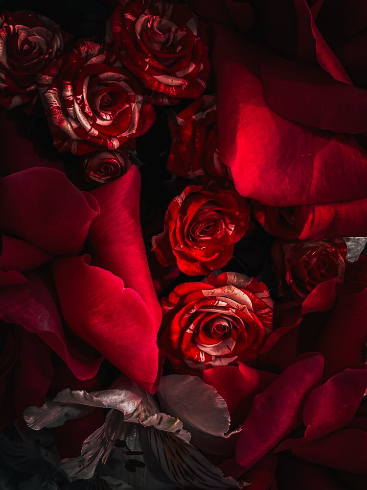 Photograph by Александр Михайлович