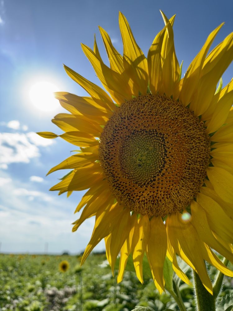 Photograph by Александр Михайлович