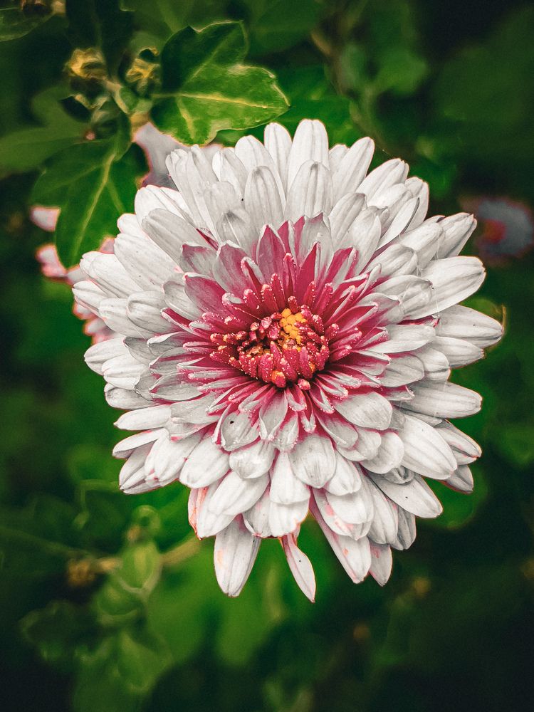 Photograph by Александр Михайлович