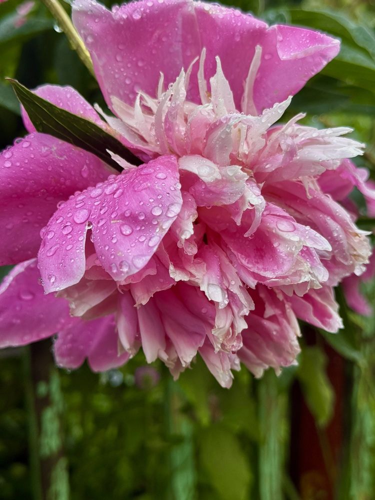 Photograph by Александр Михайлович