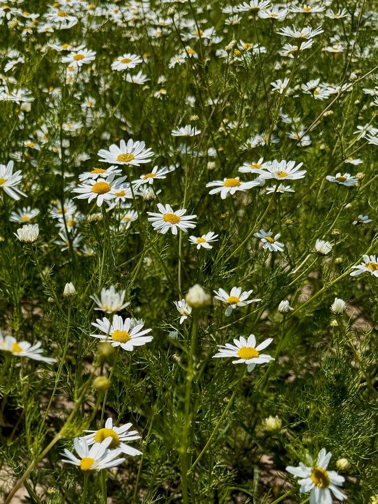 Photograph by Александр Михайлович