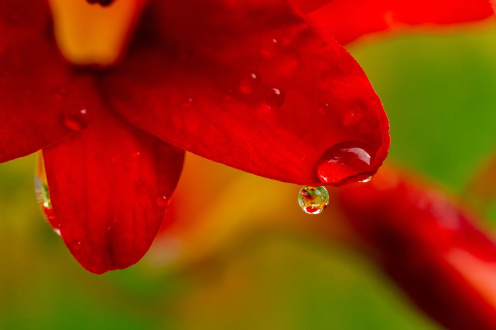 Photograph by Никита Иванов