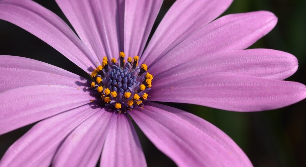 Photograph by Игорь Двойных