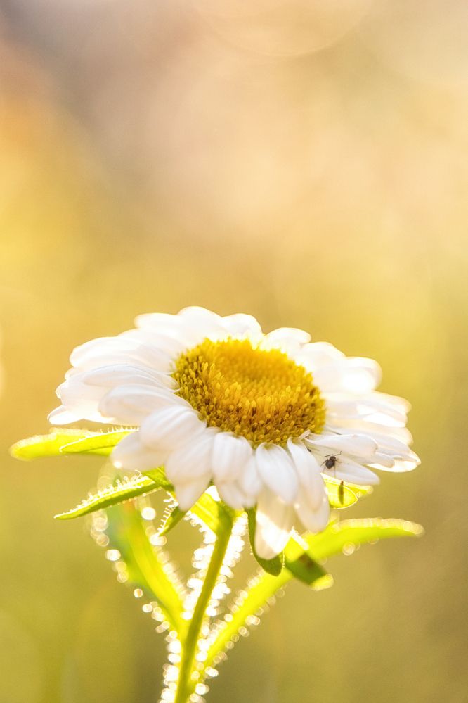 Photograph by Руслан Нигматуллин