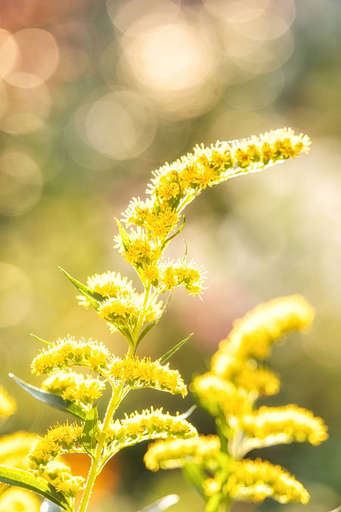 Photograph by Руслан Нигматуллин