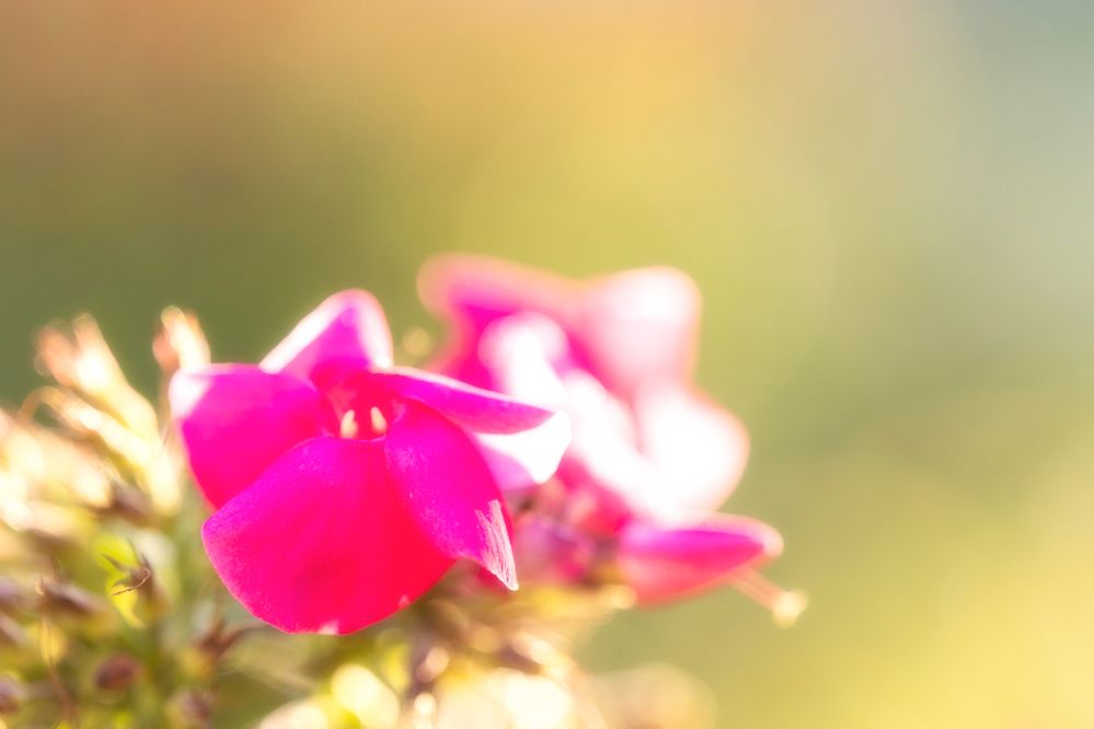 Photograph by Руслан Нигматуллин