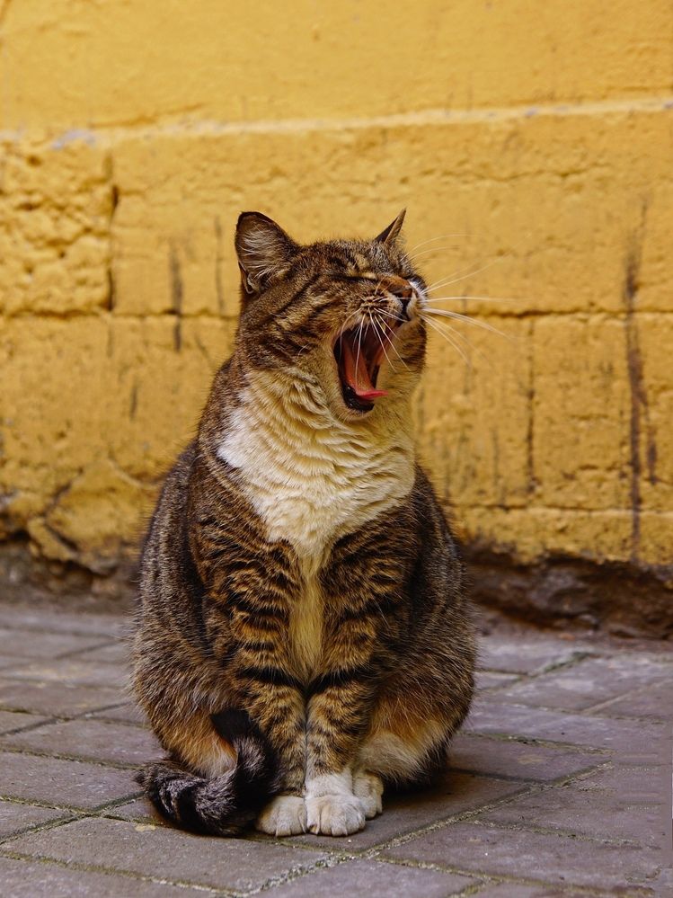 Photograph by Анна Васильева