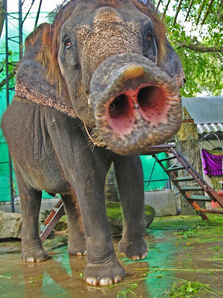 Photograph by Анна Васильева