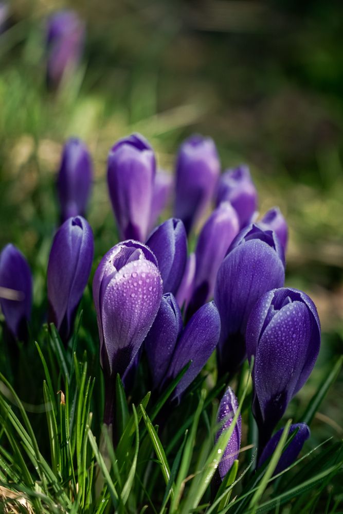 Photograph by Андрей