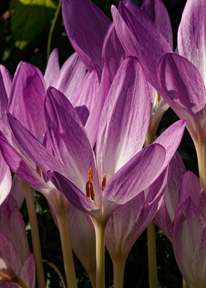 Photograph by Андрей