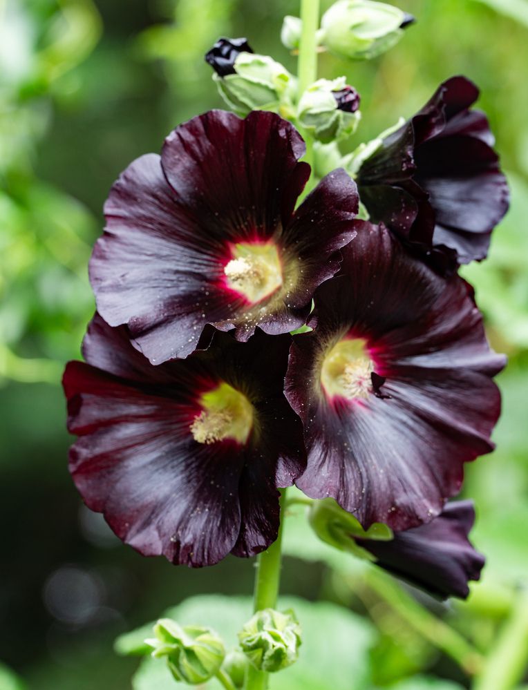 Photograph by Андрей