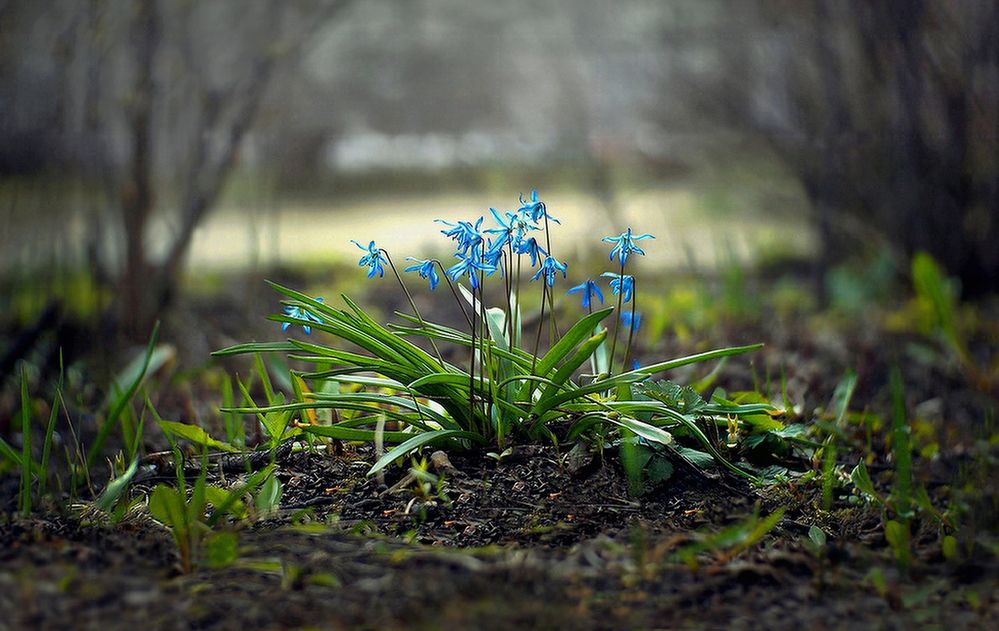 Фотография автора Е лена Е