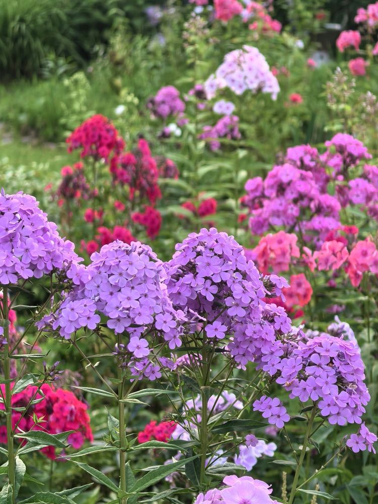 Photograph by Екатерина Борисовна Кузьмина