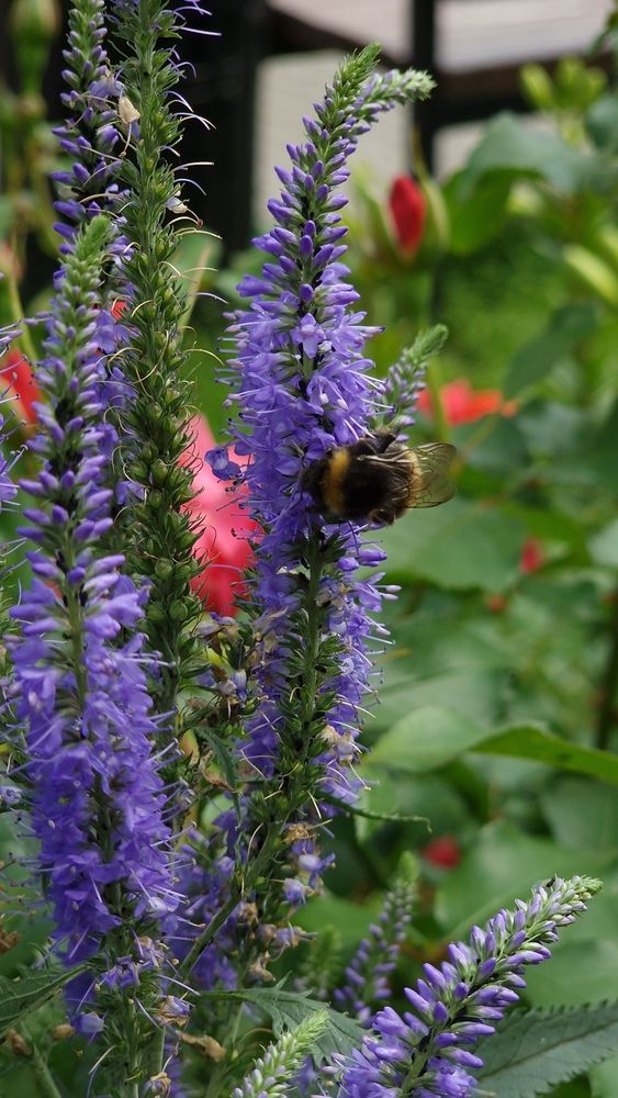 Фотография автора Ольга Быстрова