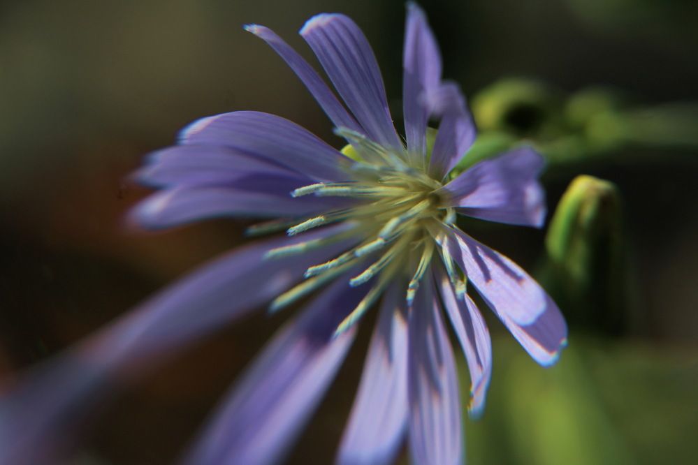 Photograph by Сироткина Нина