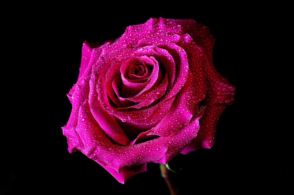 Photograph by Дронов Михаил