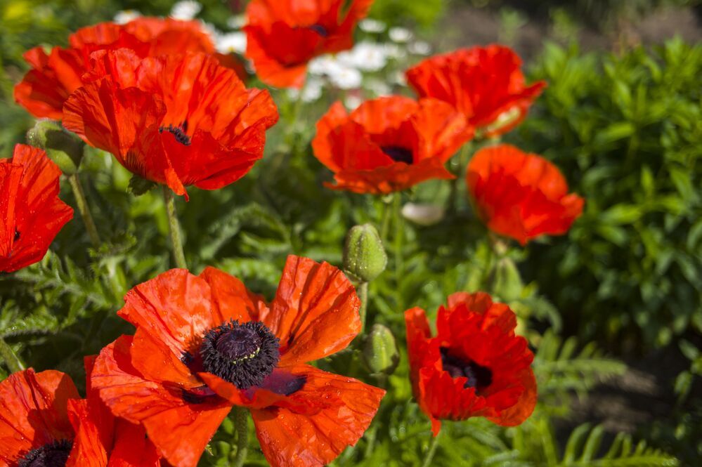 Photograph by Дронов Михаил