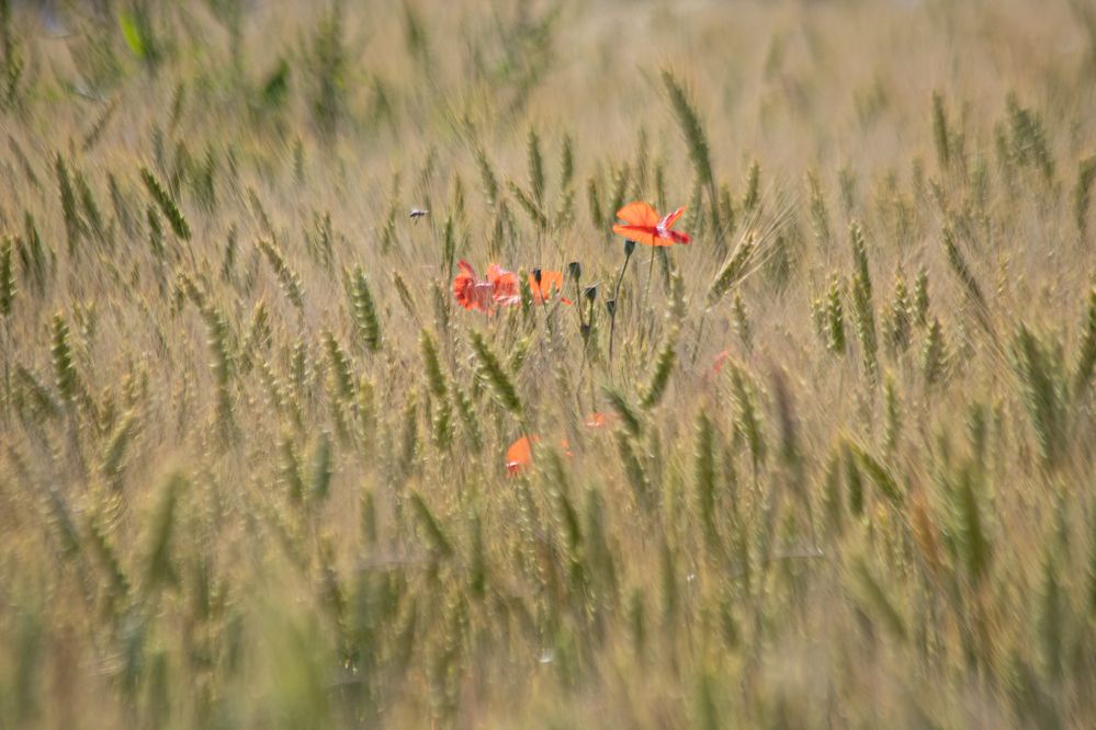 Photograph by Алексей Егоров