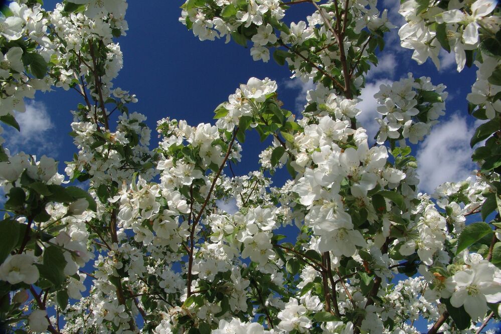 Photograph by Дронов Михаил