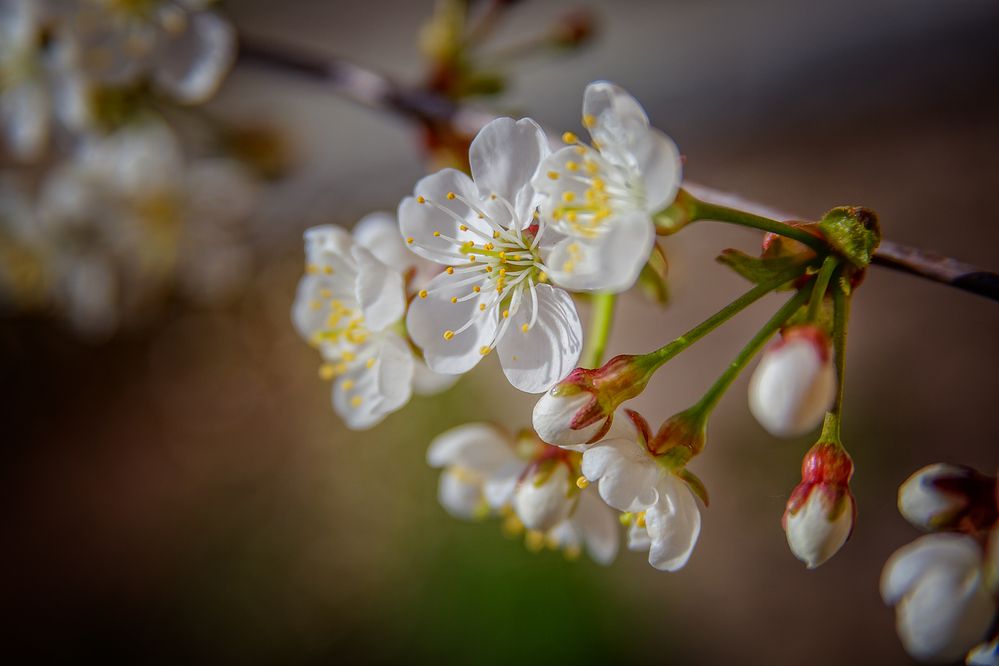 Photograph by Алексей Трифонов