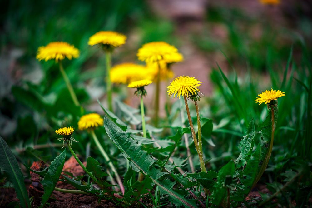 Photograph by Алексей Трифонов