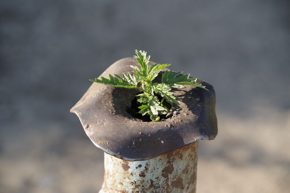 Photograph by Андрей Корытов