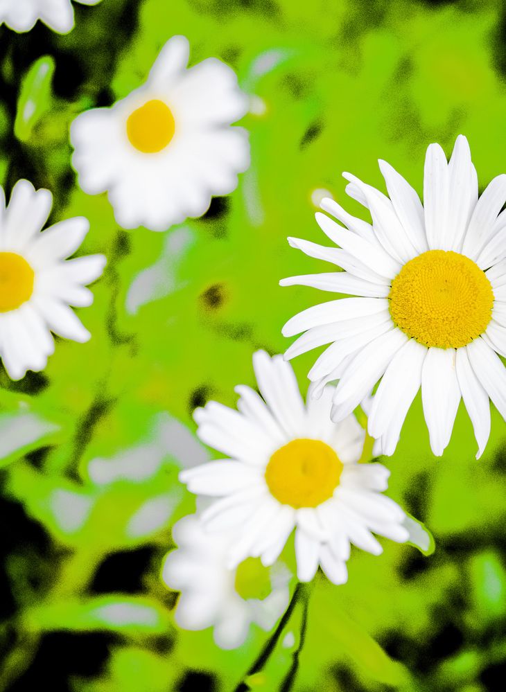 Фотография автора Каргин Валерий