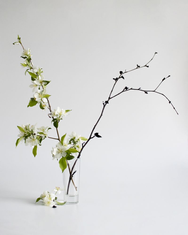 Фотография автора Екатерина Пачина