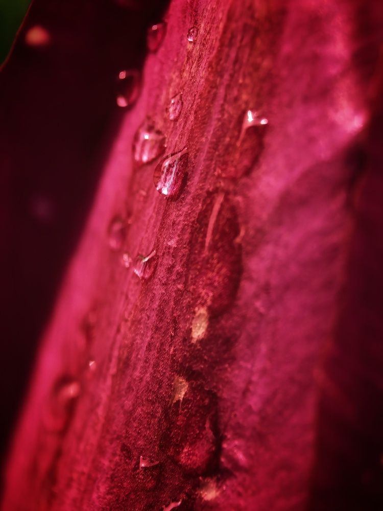 Photograph by Наталья Жуковская