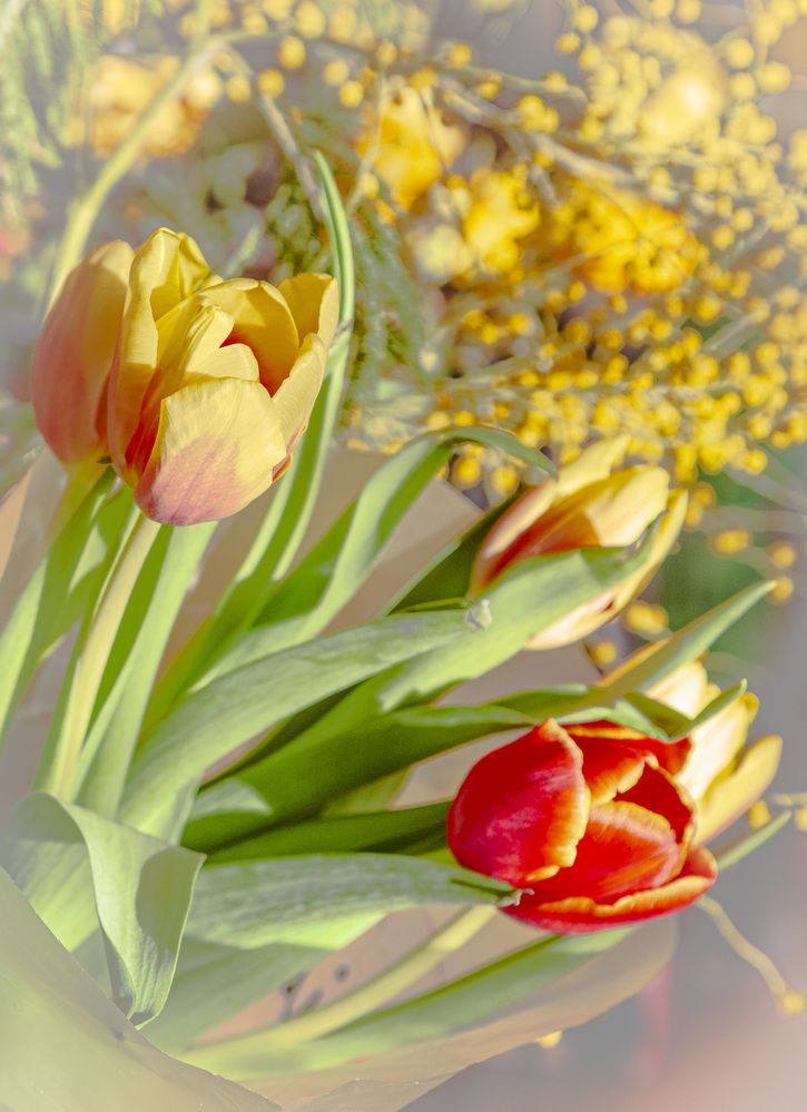 Фотография автора Каргин Валерий