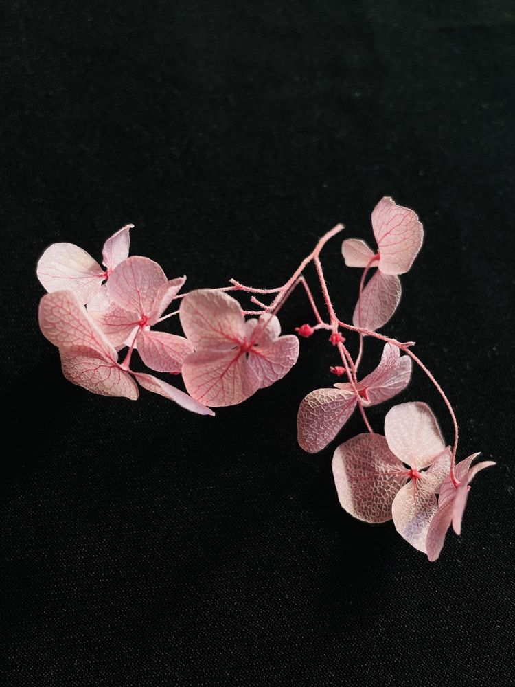 Фотография автора Рамзия Хисамутдинова